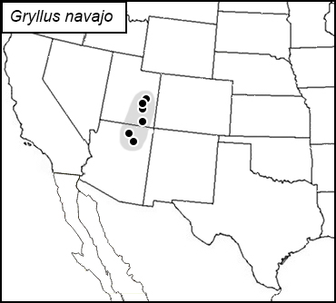 distribution map for Gryllus navajo