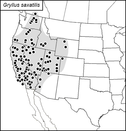 distribution map for Gryllus saxatilis