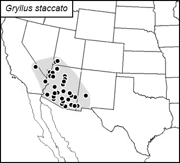 distribution map for Gryllus staccato