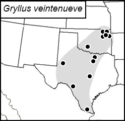 distribution map for Gryllus veintinueve