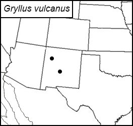 distribution map for Gryllus vulcanus