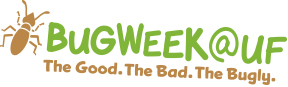 UF bug week