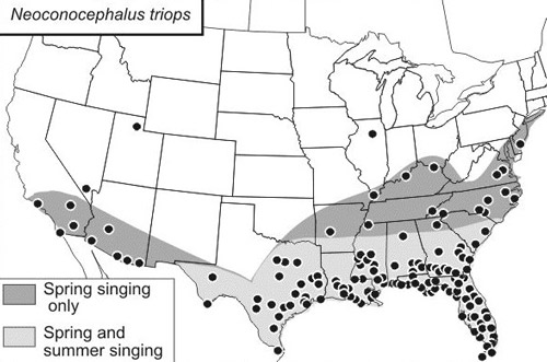 Distribution of Neoconocephalus triops (L.) within the United States. Black dots indicate county records and shading indicates spring- and summer-singing katydids or spring-singing-only katydids. Computer-generated distribution map produced in 2003 from records in the GrylTett database.