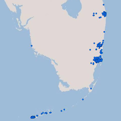 Distribution of the Asian subterranean termite. Coptotermes gestroi (= havilandi) (Wasmann).