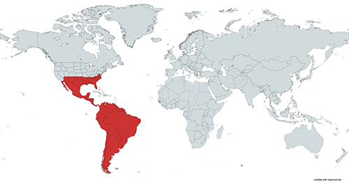 Figure 2. Major global regions (shaded in red) where Culex coronator has been identified. Map created using mapchart.net by Sierra M. Schluep, University of Florida. 