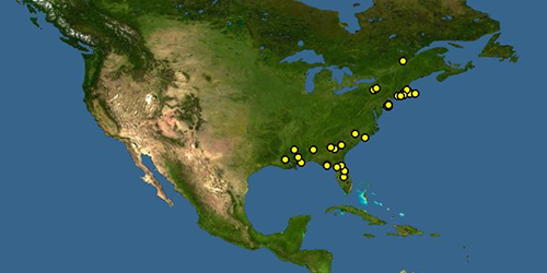 Figure 2. Identification localities of Melitta americana Smith, collected from the eastern United States and Canada. Map by DiscoverLife.org in partnership with the American Museum of Natural History Bee Biology and Systematics Laboratory and the Cornell University Insect Collection.