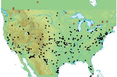 Distribution of Hydrophilus triangularis Say beetles in the US and Canada. Black dots represent records checked by Short and McIntosh; red open circles represent only literature reports. Image from Short and McIntosh 2014. 
