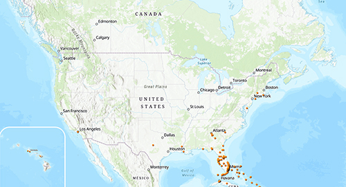 2017 US distribution of Cryptotermes brevis (Walker). Map by Johnalyn M. Gordon (johnalynmgordon@ufl.edu), University of Florida. Locality data are from the University of Florida Termite Collection, available at termitediversity.org
