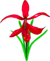 aztec.gif (13634 bytes)