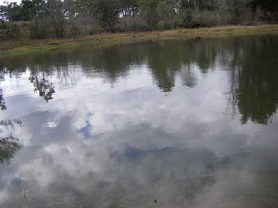 Pond Middle