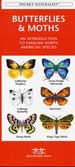 Butterflies and Moths (Pocket Naturalist)