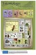 Entomology Poster