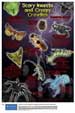 Scary Insects & Creepy Crawlies Poster