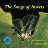 The Song of Insects CD