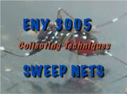 Sweep Net video