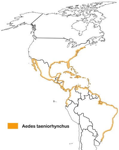 Aedes taeniorhynchus distribution.