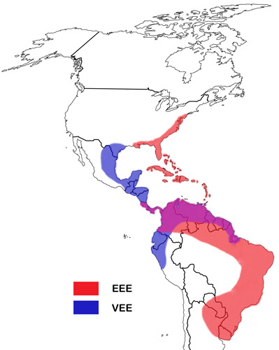 EEE and VEE disease distribution in the Americas.
