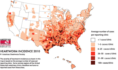 Incidence and distribution of heartworm in U.S.