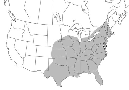 Psorophora ciliata distribution in North America, north of Mexico. 