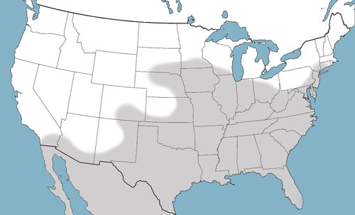 Distribution of Psorophora columbiae (Dyar & Knab), in the United States and Northern Mexico. Map by Nathan Burkett-Cadena, Entomology and Nematology Department, University of Florida. 