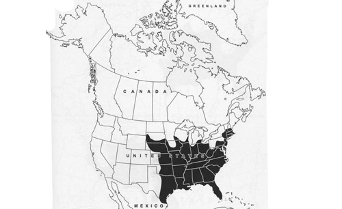 Shaded area represents known distribution of Psorophora ferox in the U.S.A. 