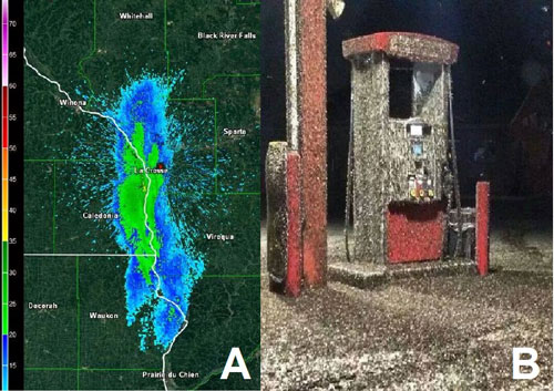 A weather radar image of Hexagenia limbata hatch along the Mississippi River in 2014. Photograph by National Weather Service. B. A typical scene from the same 2014 hatch as massive adult numbers are attracted to lights near waterways. Photograph by National Weather Service. 