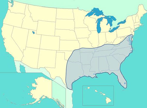 Distribution of Trigonopeltastes delta (Forster) within the United States. Map by Brandon Jones, modified from description of Peck and Thomas (1998).