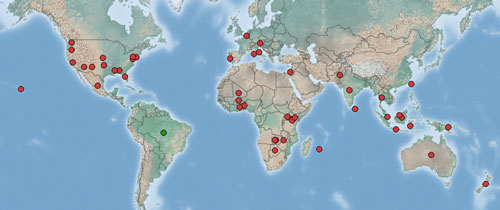 Worldwide distribution of Salvinia molesta D. S. Mitchell, the primary host plant of Cyrtobagous salviniae (Calder & Sands). Red dots represent areas where the plant is considered invasive and the green dot is in its native range