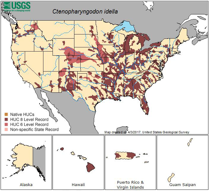 Distribution of grass carp, Ctenopharyngodon idella Val., in the United States as reported in the Nonindigenous Aquatic Species database at the U.S. Geological Survey (USGS)