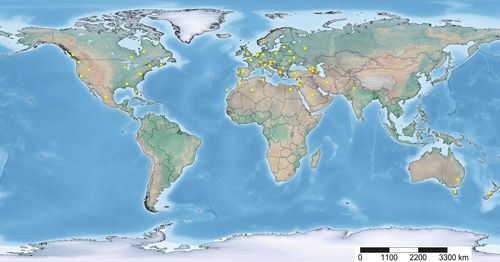 Distribution map of Neoseiulus cucumeris (Oudemans).