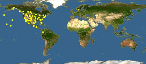 Reported geography distribution of the Hippodamia convergens (Accessed through Global Biodiversity Information Facility database, data.gbif.org, 2014-03-31)