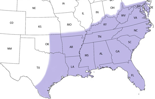 A distribution map for the Carolina satyr, Hermeuptychia sosybius (Fabricius). Information on recent sightings can be found on the Butterflies and Moths of North America (BAMONA) website (Lotts and Naberhaus 2015). NOTE: Given the recent discovery of a similar species, the intricate satyr, Hermeuptychia intricata Grishin, older species records may be in need of review.