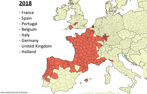 Distribution of Vespa velutina (Lepeletier) in Europe up to the year 2018