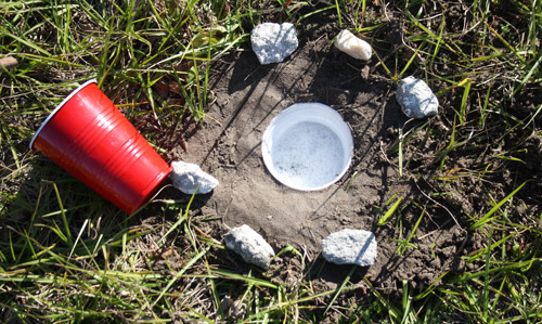 Pitfall traps using a standard plastic cup (532 ml capacity) with soapy-water solution used for monitoring bluegrass billbugs, Sphenophorus parvulus Gyllenhal.
