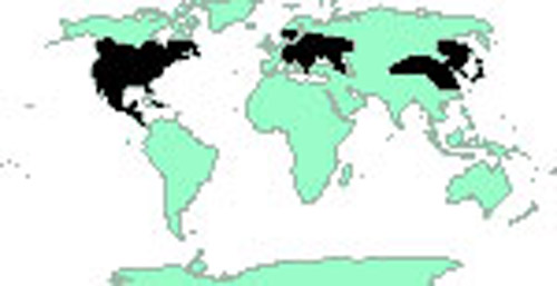 Worldwide distribution as of 2010. 