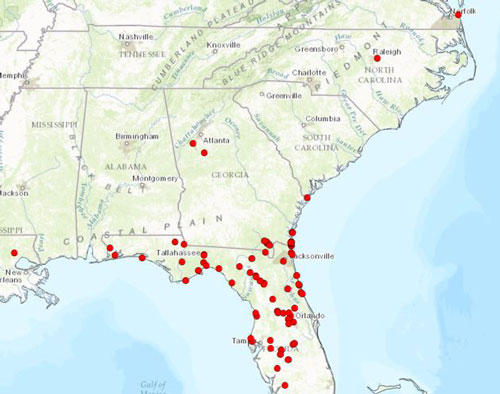 Localities for Kalotermes approximatus Snyder within Florida, Georgia, Louisiana, North Carolina, and Virginia. Each red dot present on the figure represents a single collection locality. 