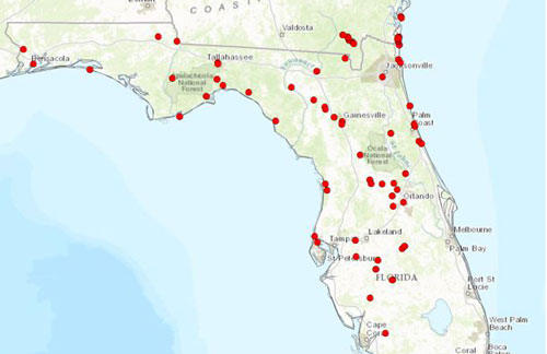 Localities for Kalotermes approximatus Snyder within Florida and southern Georgia. Each red dot present on the figure represents a single collection locality.