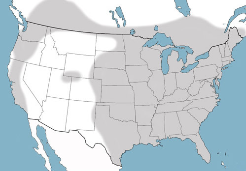 Distribution of the cattail mosquito Coquillettidia perturbans (Walker) in North America. Shaded area indicates the presence of Coquillettidia perturbans