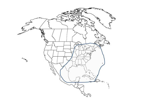 Distribution of Cs. melanura in North America