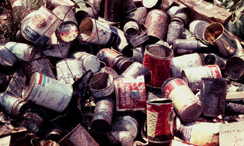 Mosquitoes can breed in tin cans in open dumps or around the yard. 