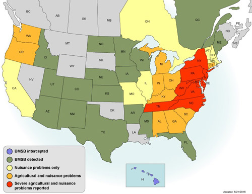 Distribution of the brown marmorated stink bug Halyomorpha halys (Stål) in the United States and Canada