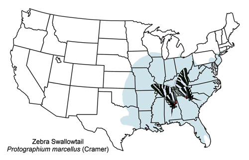 General distribution map for the zebra swallowtail, Protographium marcellus (Cramer).