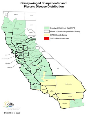 Distribution of the glassy-winged sharpshooter, Homalodisca vitripennis (Germar), in California, as of December 2008. 