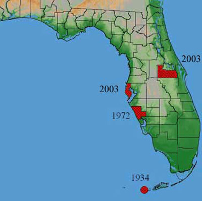 Incidence of the Mexican fruit fly, Anastrepha ludens (Loew), in Florida.