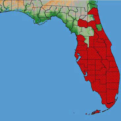 Distribution of the Caribbean fruit fly, Anastrepha suspensa (Loew), in Florida. 