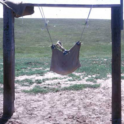 Dust bag used to apply insecticides to cows. 