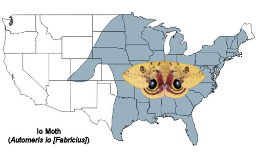 Io moth, Automeris io (Fabricius), U.S. distribution map. Map by Donald W. Hall, University of Florida. 