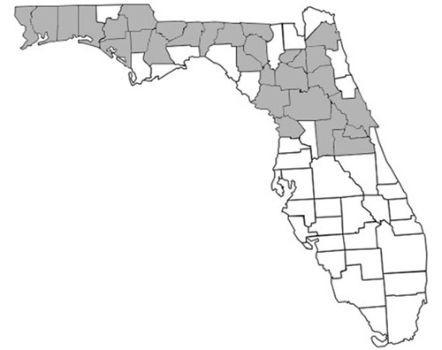 County distribution map of Prenolepis imparis in Florida constructed using information from Deyrup (2017)