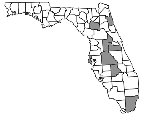 County distribution map of Nomada fervida Smith in Florida constructed using data from Droege et al. (2010) and specimen records from Table 1