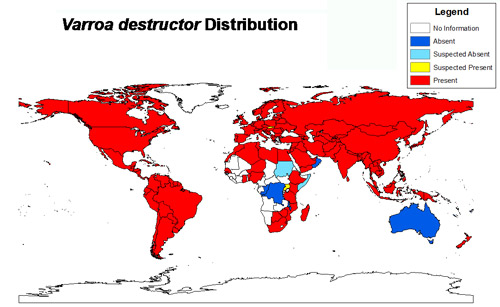 Varroa distribution reported in peer-reviewed scientific literature as of 2014. Figure by Chase Kimmel, University of Florida using Esri ArcGIS 10.2: the world map layer is from Natural Earth and the data was acquired from a review of the scientific literature.
